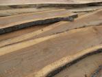 Iep - Timmerhout