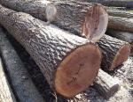 Walnoot Zaagrondhout |  Hardhout | Rondhout | Adam