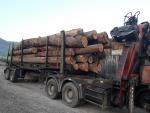 Eik Staande rondhout |  Hardhout | Rondhout | FIGULI, s.r.o.