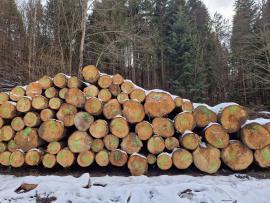 Spar Zaagrondhout | Zachthout | Rondhout | ALBA Forrest s.r.o.