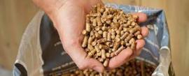 Pellets Spar | Brandstof, briketten | SCOPULUS Handels-und Dienstleistungs GmbH