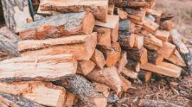 Brandhout Berk | Brandstof, briketten | SCOPULUS Handels-und Dienstleistungs GmbH