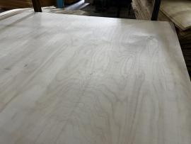 Gelaagd hout Waterdicht | Materiaal op grote oppervlakken | Forestree