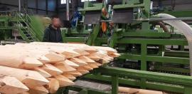 Andere techniek Kompletn výroní Linka kulů . | Zagerijtechniek | Houtbewerkingsmachines | Drekos Made s.r.o