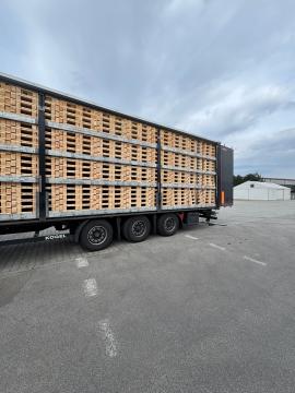 Paletten Eenmalige paletten | Verpakkingen, paletten | Woodproo s.r.o.