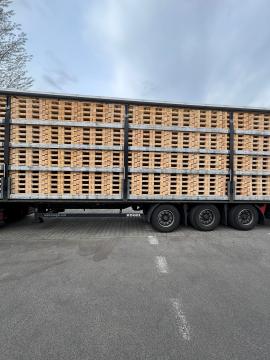 Paletten Eenmalige paletten | Verpakkingen, paletten | Woodproo s.r.o.