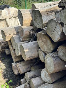 Teak Zaagrondhout |  Tropische houtsoorten | Rondhout | SOFT IT SP .ZO.O SPÓŁKA Z OGRANICZONĄ ODPO