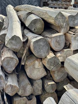 Teak Zaagrondhout |  Tropische houtsoorten | Rondhout | SOFT IT SP .ZO.O SPÓŁKA Z OGRANICZONĄ ODPO