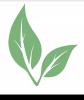 Saenti