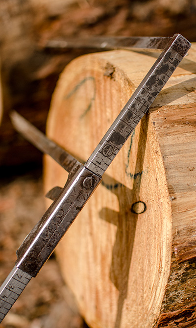 Log-schaal regel